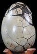 Septarian Dragon Egg Geode - Black Crystals #40932-3